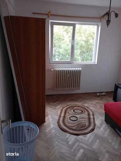 2 camere, Cameliei - 3