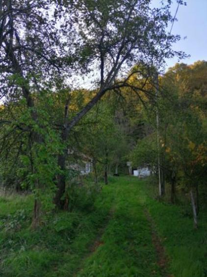 Casă cu 3 camere cu Canalizare în Baia de Aramă