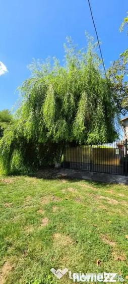 Casă cu 5 camere cu Teren 794 Mp în Livedea