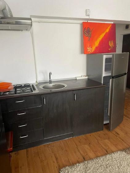 Ap. 3 camere - Pacurari (PET FRIENDLY) - 9
