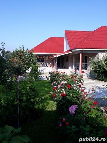 Casă cu 6 camere cu Teren 1997 Mp în Homocea