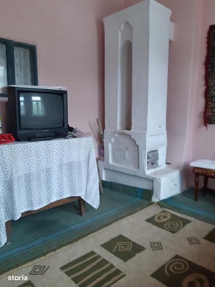 Casa Davidesti, la strada principala - 6