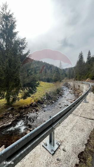 Teren de 4331 mp, în Arieșeni