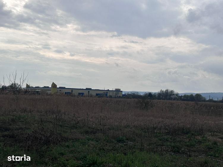 Teren de 26112 mp, în Ernei