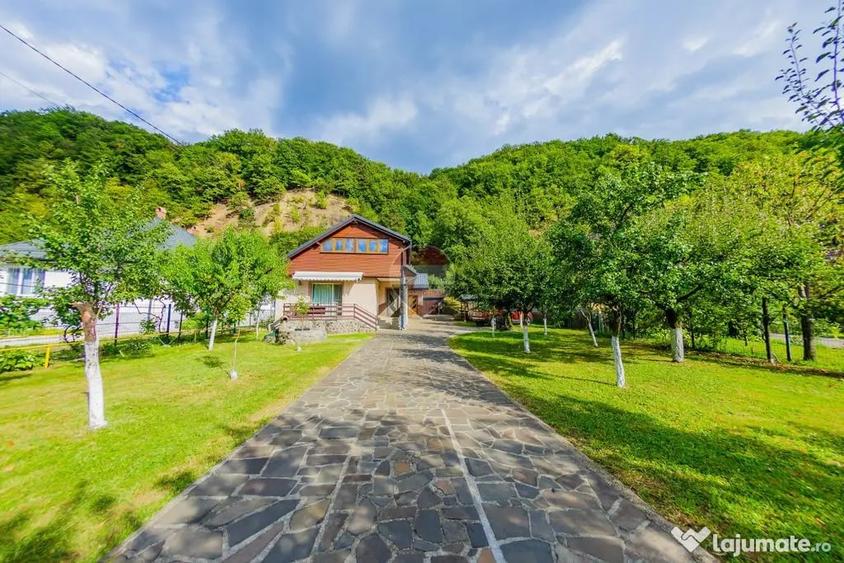 CASA cu TEREN generos , in linistea naturii - Baia Mare (Maramures) - 1