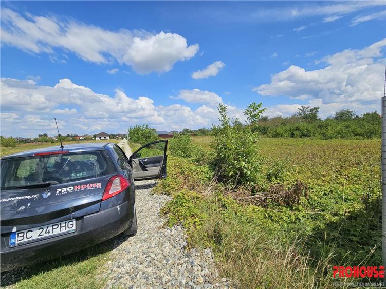 Teren de 680 mp, în Șerbănești