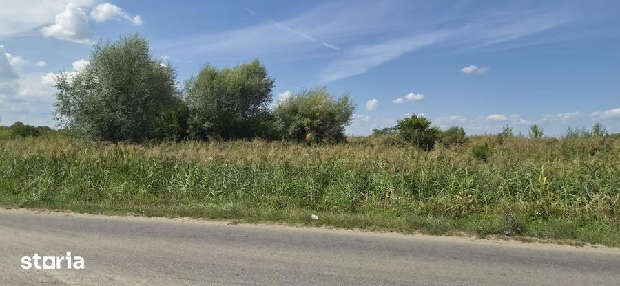 Vand teren Stefanesti, Arges, parcelabil, strada sticlelor, 18600mp - 2
