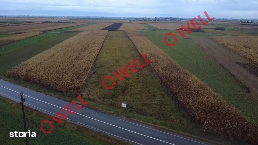 Teren extravilan de vanzare in Covasna! - 8