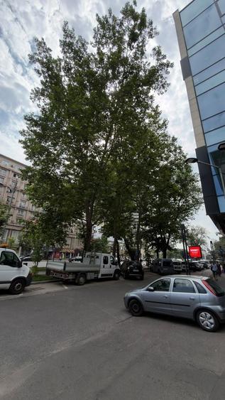 Birou, de 228 mp, în Universitate