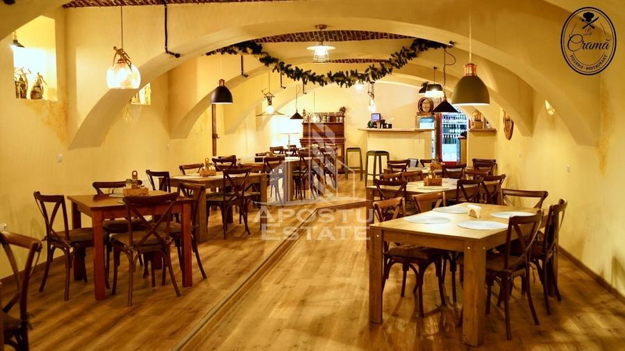 Afacere la cheie, in apropierea Castelului Corvinilor in Hunedoara - 20