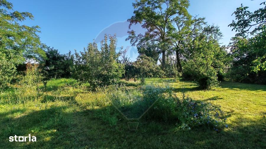 Casă cu 4 camere cu Teren 1294 Mp în Tâncăbești