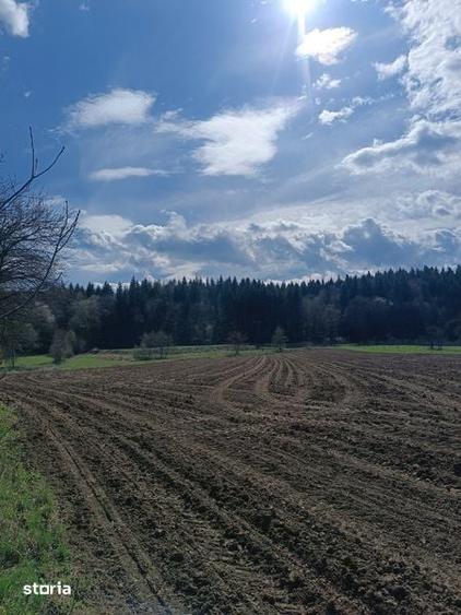Teren de 500 mp, în Bodești