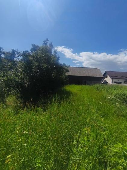 Teren Construcții intravilan de 10000 mp, în Măneuți