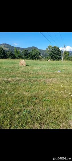 Teren în Bistra Mureșului