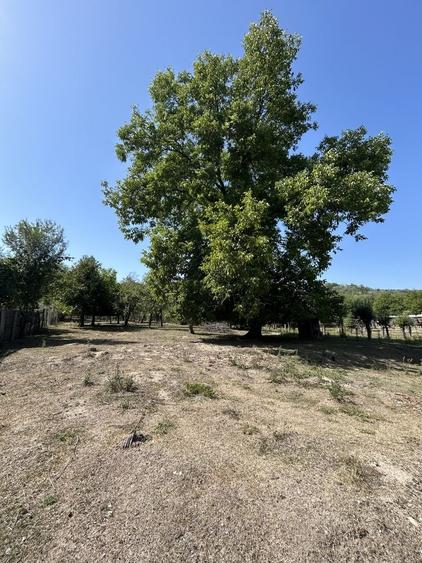 Casă cu 4 camere în Radu Negru