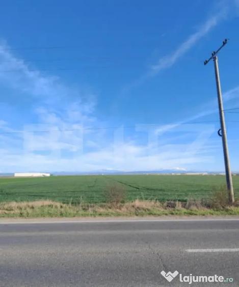 Teren de 59000 mp, în Ariceștii Rahtivani