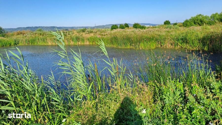 Teren de 6000 mp, în Brazda lui Novac