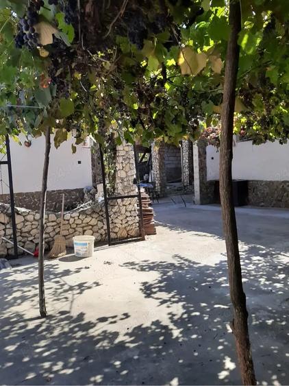 Casă cu 3 camere în Dalboșeț