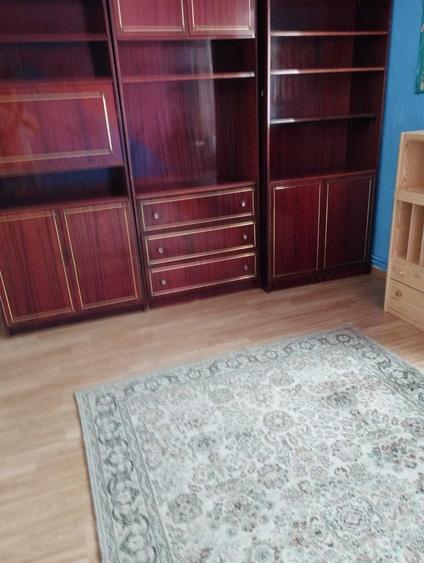 Vand apartament 3 camere Valea Frumoasei Sebes - 11