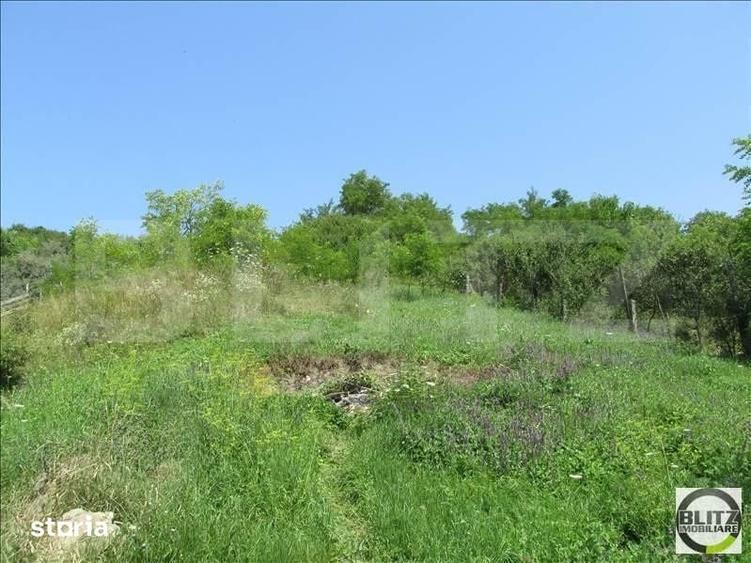 Investitie !Teren extravilan,15554 mp, zona in plina dezvoltare - 2