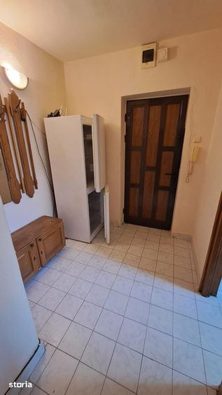 Apartament cu 2 camere semidecomandat în Săsar