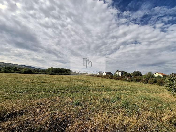 Teren Construcții intravilan de 37976 mp, în Bună Ziua