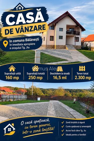 Casă cu Teren 2350 Mp în Bălănești