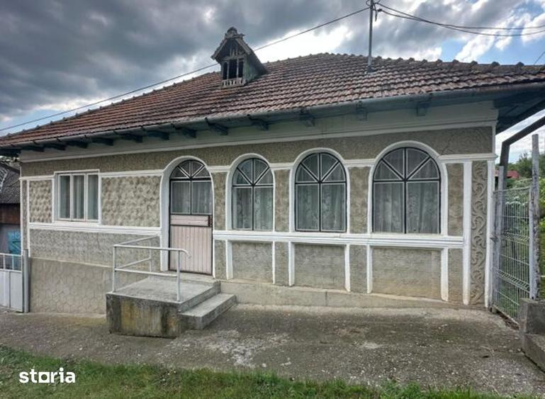 Casă cu 5 camere cu Teren 2380 Mp în Bârsănești