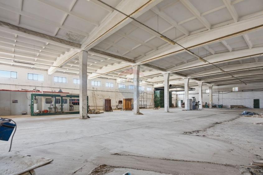 Teren Construcții intravilan de 41140 mp, în Est