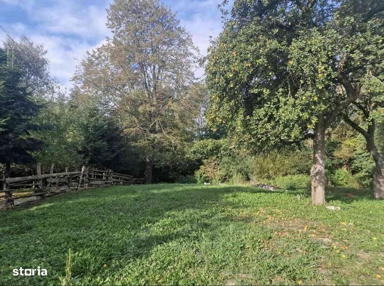 Casă cu 4 camere cu Teren 1500 Mp în Horodnic