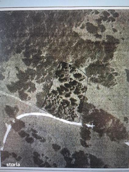 Teren de 1500 mp, în Poieni