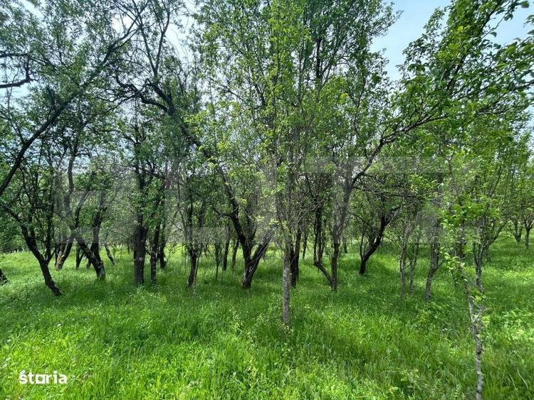 Proprietate exclusivista cu potential urias in Bunesti, judetul Cluj! - 3