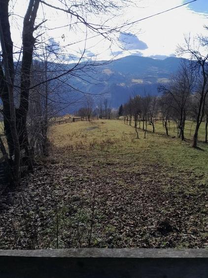 Teren de 1398 mp, în Albac