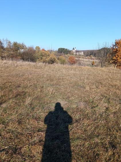 Teren agricol extravilan de 4000 mp, în Dragomirna