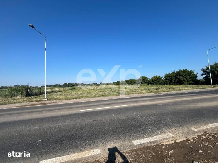 Teren de 15000 mp, în Sud
