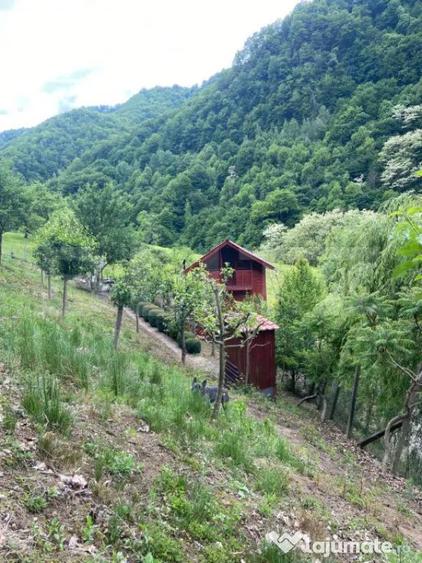 Casa de vacanta cu 4 camere, 1470 mp teren, Sugag - 6