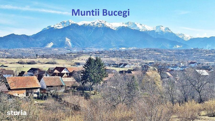 Spațiu comercial, în Tohanu Nou