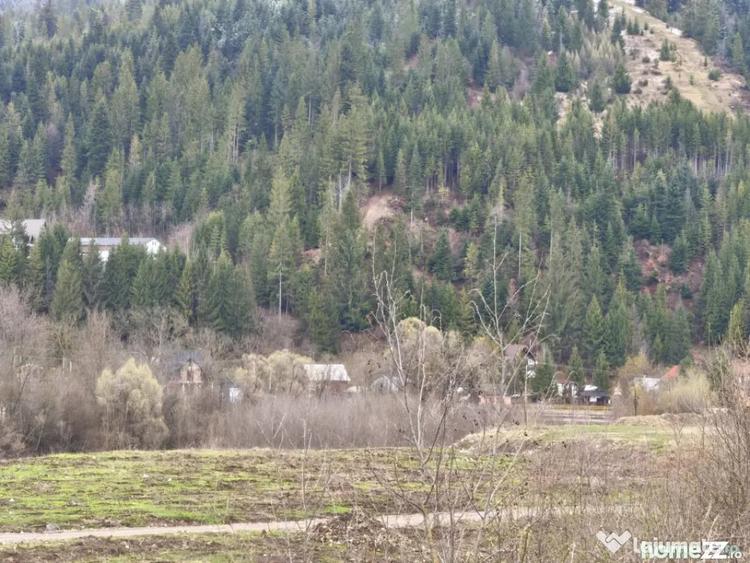 Teren de 22600 mp, în Sucevița