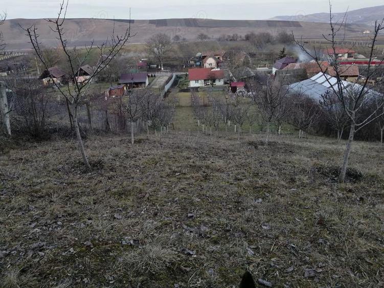 Casă cu 2 camere cu Teren 2984 Mp în Avrămești