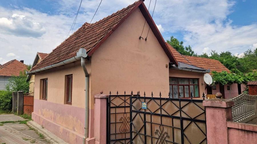 Casă cu 3 camere în Conop