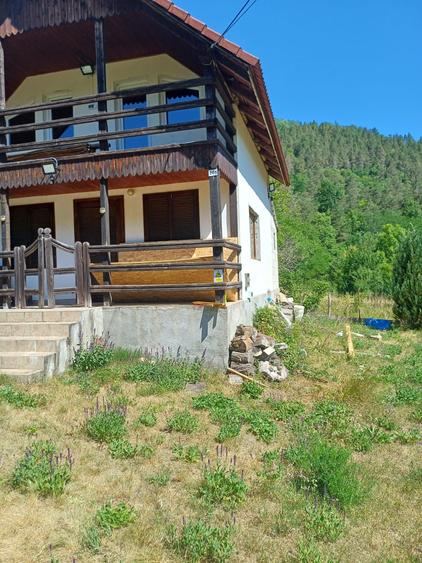Casă cu 3 camere în Pietroasa