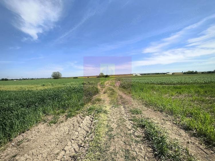 Teren de 2200 mp, în Dărăști-Ilfov