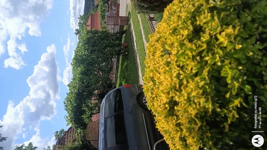 Casă cu Teren 5500 Mp în Pădurenii (Tritenii de Jos)