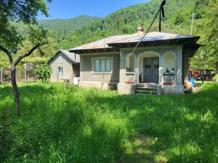 Casă cu 3 camere cu Teren 1525 Mp în Tarcău