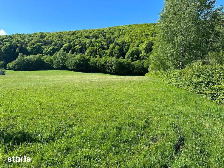 Teren de 3788 mp, în Sadu