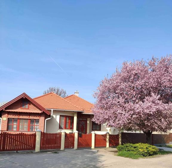 Casă cu 4 camere în Biharia