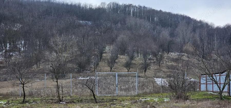 Casă cu 2 camere cu Teren 11000 Mp în Mitrofani