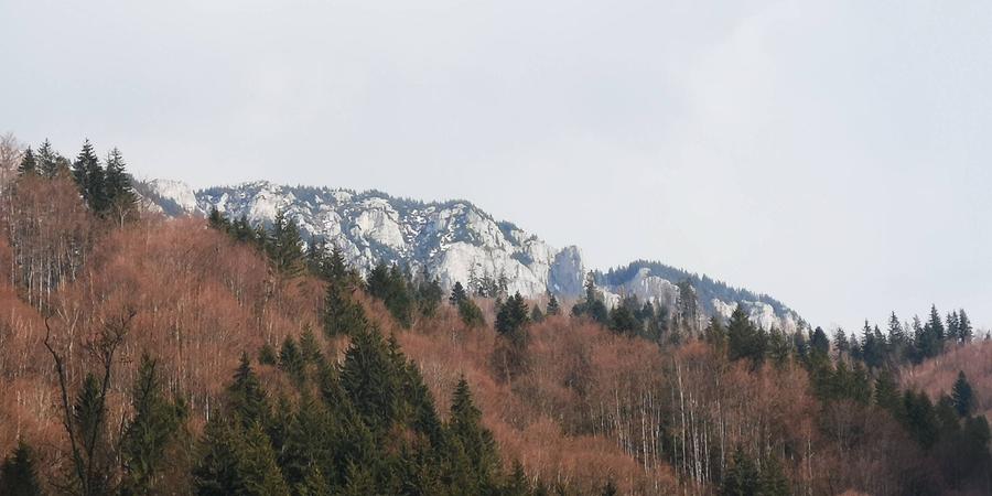 Teren de 2000 mp, în Exterior Vest