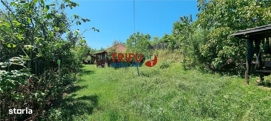 Casă cu 1 camere în Șard