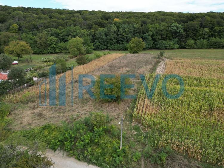 Teren Construcții intravilan de 3426 mp, în Racova